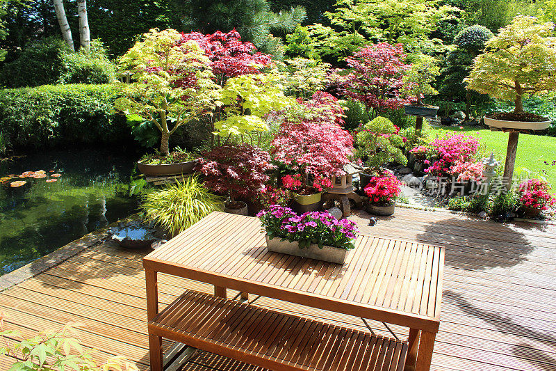 当代木桌/长凳，花园家具，甲板，池塘的形象